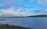 В Рыбинском водохранилище взяли повторные пробы черной воды