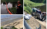 В ярославском министерстве обнародовали результаты проб по черному дождю