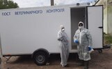 В Ярославской области отменили карантин по бешенству