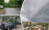 Сильный ветер продолжает ломать деревья в Ярославской области