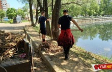 «Мусор, мертвая рыба, крысы»: молодые ярославцы своими силами чистят пруды в Брагино