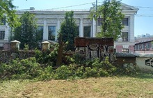 Ректор ярославского госуниверситета рассказал, зачем пилят деревья в сквере на Советской