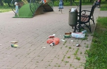 Ярославские мамочки просят полицию очистить Бутусовский парк от «нечисти»