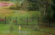 «Техника сгорела»: в Ярославской области ураган привел к скачку напряжения