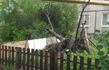 «Техника сгорела»: в Ярославской области ураган привел к скачку напряжения
