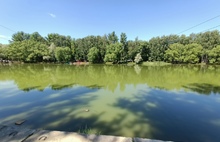«Превращается в болото»: ярославцы просят почистить водоем в парке «Нефтяник»