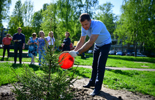 У мэра Ярославля нет денег на зеленую траву