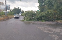 Проспект Машиностроителей в Ярославле завалило поваленными ураганом деревьями