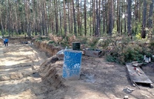 Сосны «зазвенели»: депутаты выяснят, почему часть Прусовского леса не вошла в зеленый пояс Ярославля