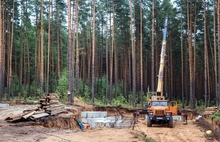 Разрешение на строительство коттеджей в Прусовском лесу не выдавалось