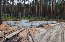 Разрешение на строительство коттеджей в Прусовском лесу не выдавалось