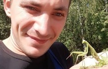 «Посадите его в баночку» - ярославские энтомологи объявили охоту на богомолов