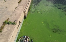 Ярославцы требуют нанять в службу уборки города дворников-водяных