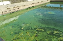 Ярославцы требуют нанять в службу уборки города дворников-водяных