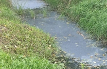Поселки Ростовского района Ярославской области задыхаются от канализации