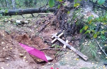 В лесу под Ярославлем грибники нашли открытый гроб