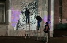 Партия «Новые люди» предлагает пересмотреть отношение к граффити в Ярославле