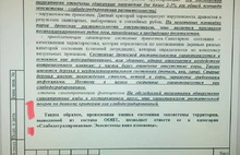 Скандал в Ярославле: после благоустройства Павловская роща перестанет быть памятником природы?