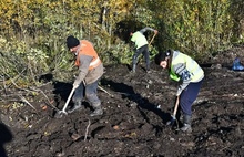 В Ярославле начались работы на «Озерной гривке»