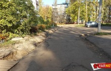 Ждут снега и губернатора: в Ярославле подрядчик так и не вышел на ремонт дворов