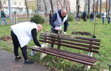 В Ярославской области в День отца сажали деревья