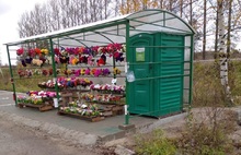 На ярославском кладбище развернулась война между торговцами цветами и «хозяйкой храма»