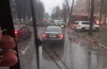 Ураган в Ярославле: автобус вылетел с дороги, уходя от падающего дерева