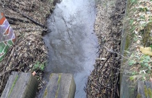 «Чистая и не пахнет»: в Ярославле проверили состояние воды в реке Урочь