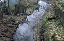 «Чистая и не пахнет»: в Ярославле проверили состояние воды в реке Урочь