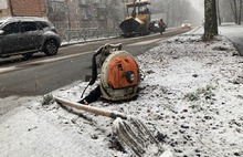 Поймали погоду: на Красноборской в Ярославле дорожники играют в снежки