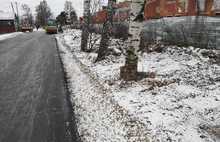 «Вьют гнезда для зимовки»: в Ярославле подрядчика по ремонту дорог сравнили с утками