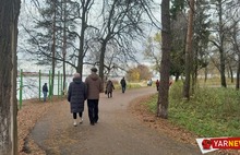 В Ярославле «зависли» итоги общественных обсуждений по благоустройству Павловской рощи