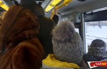 «Он их по кругу прокатил!»: питерский перевозчик сорвал работу основного автобусного маршрута Ярославля