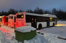 Под Новый год питерцам отдали еще один автобусный маршрут в Ярославле