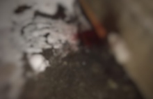 Дикая история в Угличе: жестоко убита собака, у ребенка пострадало лицо