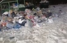 Машины «Хартии» нет уже давно: районы Ярославля утопают в мусоре