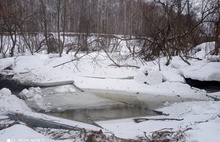 В Ярославской области разрушили построенные бобрами плотины