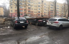 В Ярославле на припаркованные на газоне машины рухнуло дерево