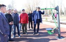 В Ярославле Юбилейный парк обещают благоустроить раньше «Озерной гривки»
