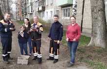 В Ярославле сотрудники ЦГЗ спасли котят из вентиляционной шахты