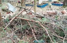 На кладбище в Ярославле спиленные деревья бросили на могилах