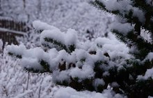 В Ярославской области выпал снег: видео