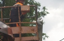 В Ярославле спасатели помогли чайке