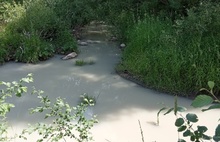 «Молочная река» под Ярославлем окрасилась в черный цвет