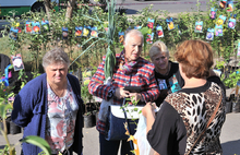 Жители Ярославля активно закупают саженцы плодовых деревьев и кустарников. Фоторепортаж