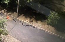 В Ярославле на ремонтируемой дороге бросили электросамокаты