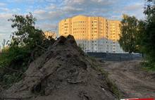 В Ярославле на месте березовой рощи могут построить дом в 24 этажа