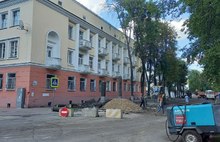 В Ярославле на Волжской набережной вырубают липы