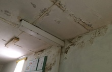 «Штукатурка падает на детей»: в школе под Ярославлем тринадцать лет течет крыша