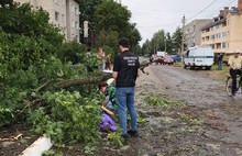 Ярославский следком начал проверку из-за гибели пенсионерки от упавшего дерева